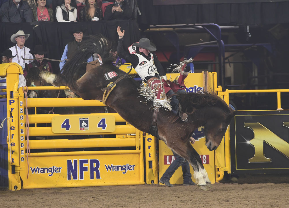 Un vaquero montando a caballo en un rodeo.